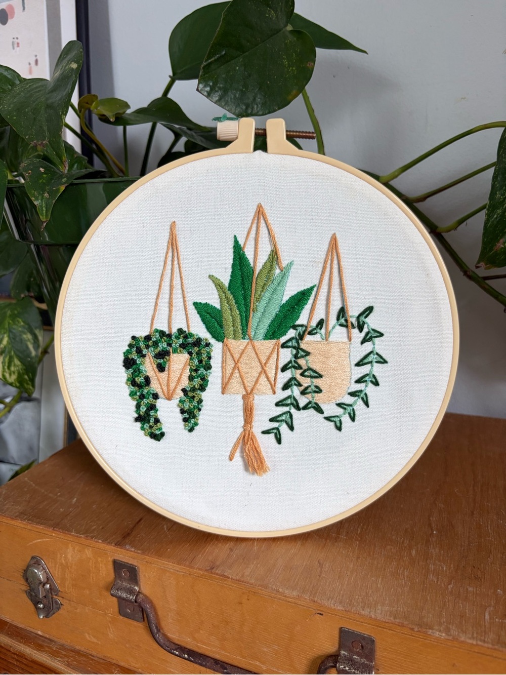 Hand-Embroidered Hanging Plant Hoop Wall Art - Green